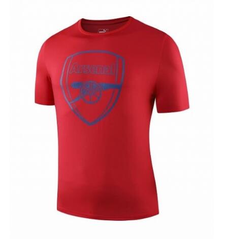 Camiseta de fútbol de entrenamiento Arsenal 2019-2020 rojo